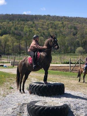 Circle F Stables