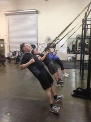 TRX rows for the upper back