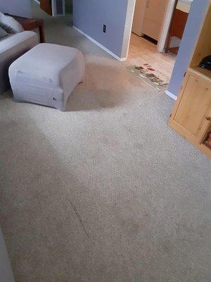 Carpet Cleaning!!!