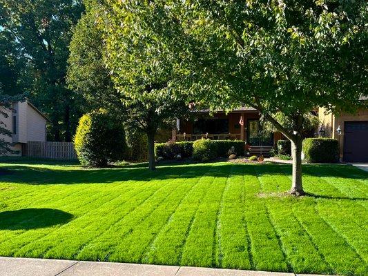 We provide lawn maintenance services including scheduled mowing to promote even grass growth, providing you with a lush lawn all season long