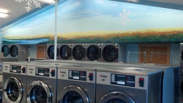 40lb washing machines with a beautiful mural in the background.