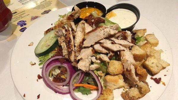 Grilled chicken salad