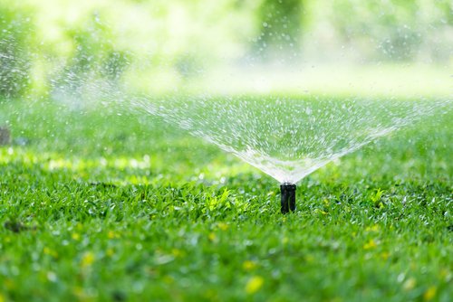 Enchanted Landscape and Pools - Irrigation Specialist in Chandler, Az