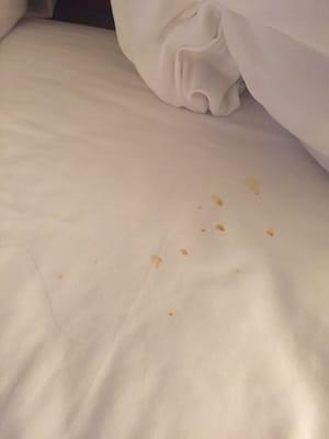 THE MOST GROSS PLACE I'VE EVER STAYED. Found these f*cking gross dots on the sheet. It just ruined my day. literally gonna puke.