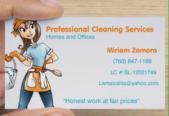 Professional Cleaning Services