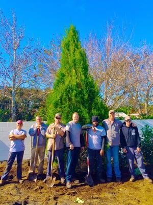 Horizon Landscaping of Jacksonville