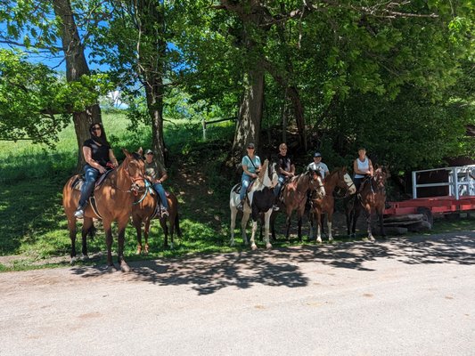 Beautiful horses that we rode!