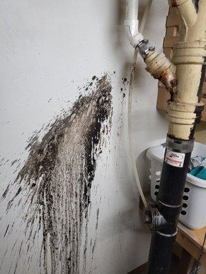 Sludge sprayed all over the wall from a pipe that started leaking after their repair