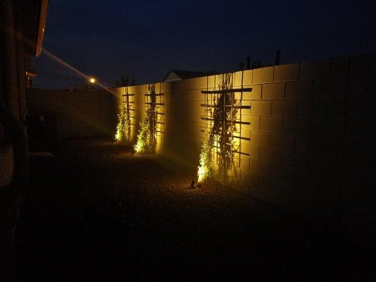 LED lighting installed to highlight the trees and trellises