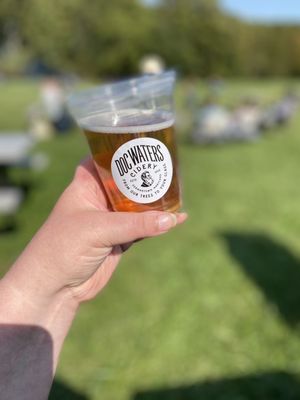 Glamor shot of the pumpkin cider (my current fav)