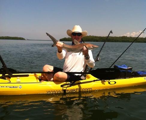 Shark fishing near Sarasota Bay, on one of our three hour fishing excursions.