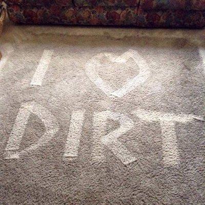 We love pulling the dirt out of your carpet!