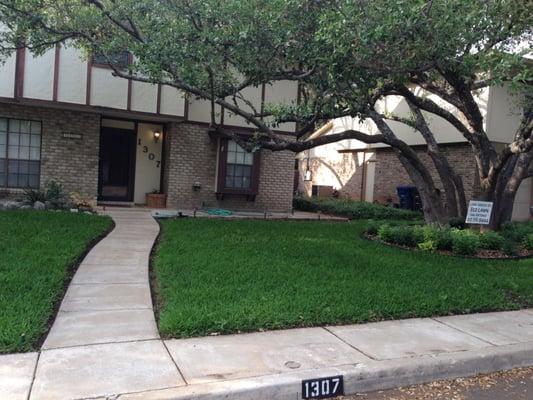 My front lawn 3 weeks after aeration and compost application