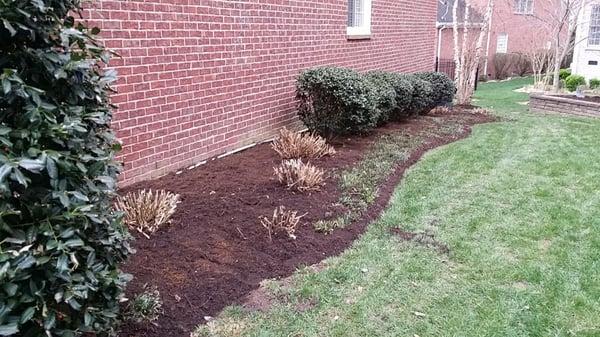 We did hedge trimming and mulch aplicación