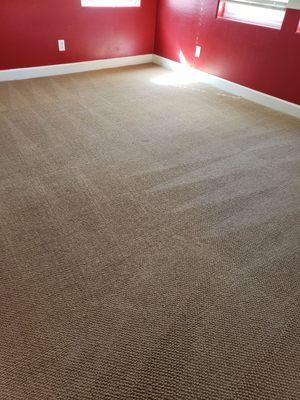 This room had a cat odor and some stains and now just a clean like new carpet.   AMAZING!!!!