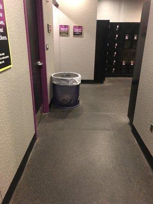 Commercial Cleaning of a Planet Fitness in Exton, PA