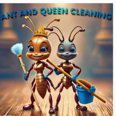 Ant And Queen Cleaners