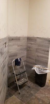 Bathroom remodeling