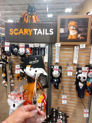 Getting my kitty Halloween toys!