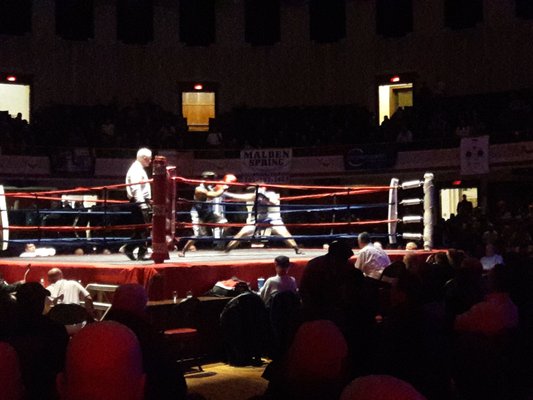 Lowell Golden Gloves