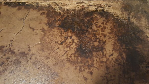 Raul's Concrete Stain in Plano, TX