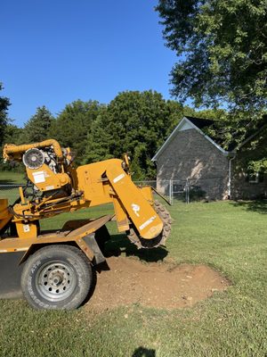 Austin Stump Removal