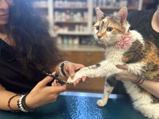 Nail trimming to Cardio appointments available!