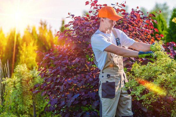 We do landscaping in Allentown and surrounding areas!