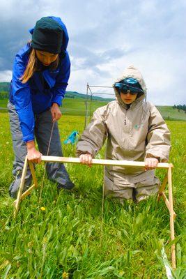 EPI students collect data for a bison grazing study in Yellowstone National Park