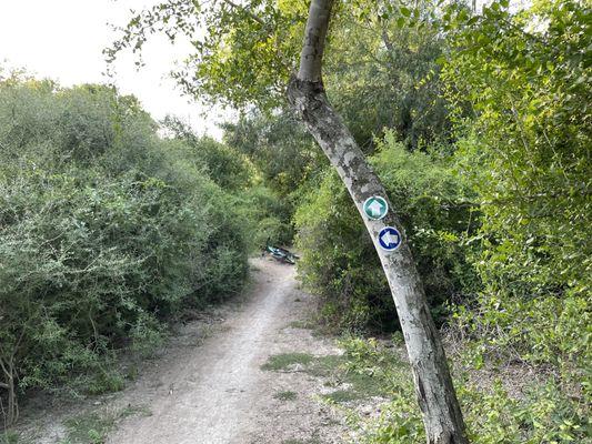 Harlingen Arroyo MTB Trails (green and blue trail options)