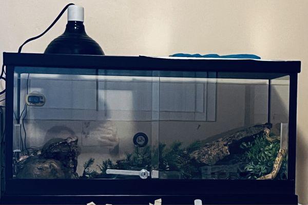 Custom 20 gallon tank.