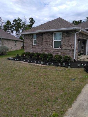 The mulch that I used on this landscape project is shredded tires. It looks really nice and last forever. Daniel Vega 859 491 4678