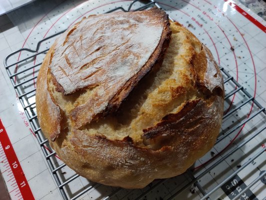 Artisan Sourdough Round