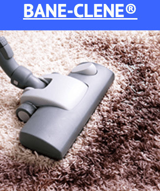 Milton's Carpet Care