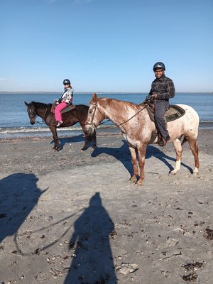 Newport Equestrian Academy