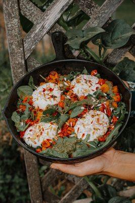 Late Summer Roasted Cherry Tomato, Burrata, Fresh Basil Pesto