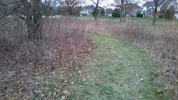 all the paths are relatively short as they cross the circle of meadow