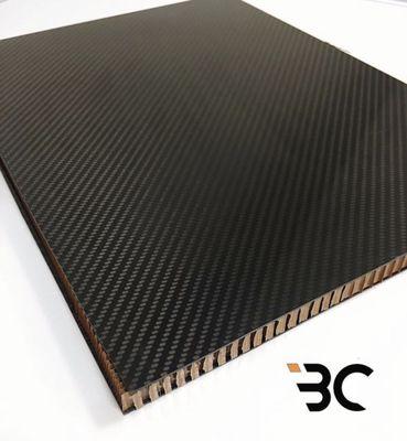 Carbon Fiber, composite sandwich panel