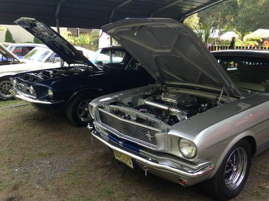 1967 Mustang fastback and 1966 Shelby GT 350