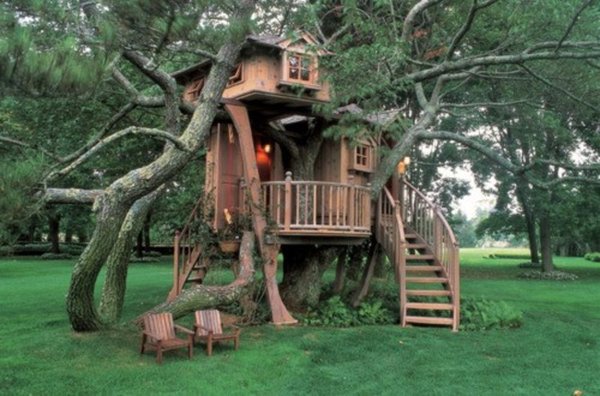 Don't let your tree turn your home to a tree house.