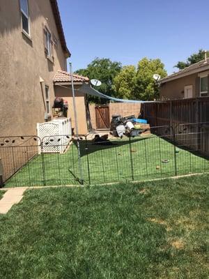 My dogs yard, they no longer dig it up or bring in mud on rainy days, and I don't have to water it anymore!