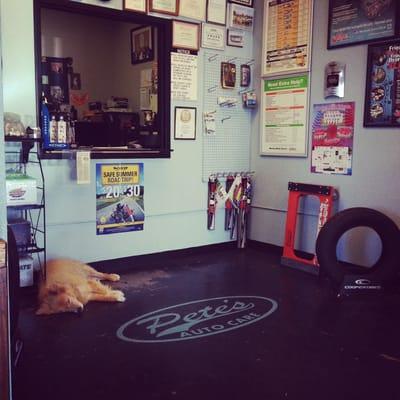 Locally owned and operated by Pete himself, and his trusty four legged companion.