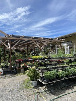 Redwood Nursery