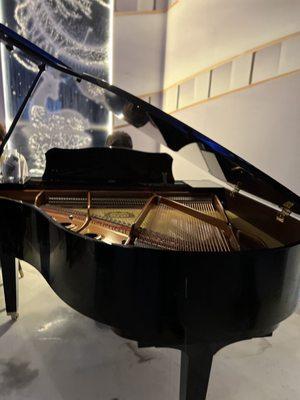 Mini Grand Piano