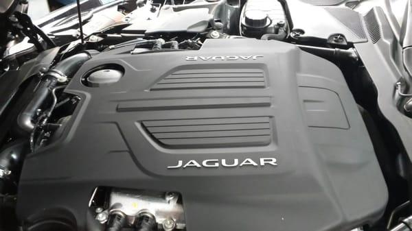 Performing Jaguar recommended services.