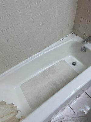 Mold in the tub