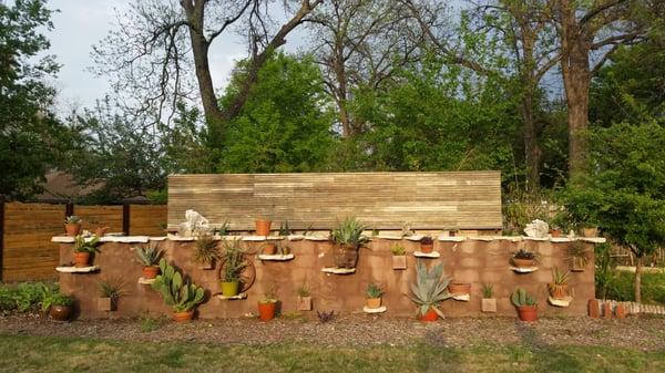 wall of succulents