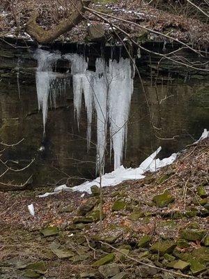 Lowe-Volk Nature Center