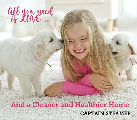 Captain Steamer Carpet Cleaner