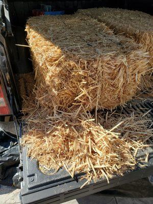 Crappy bails of straw I bought for my grandsons archery practice.